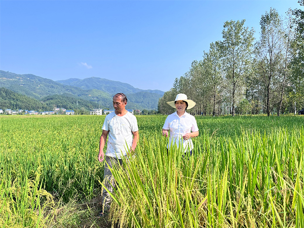 环球360集团：守牢粮食安全底线 助推粮食产业高质量发展